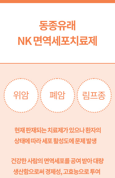 파이프라인